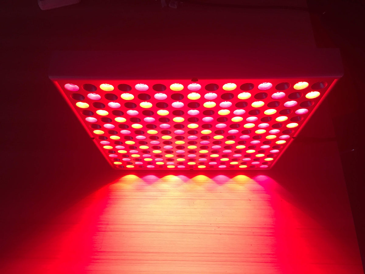 GembaRed Rex NIR & Red LED Light