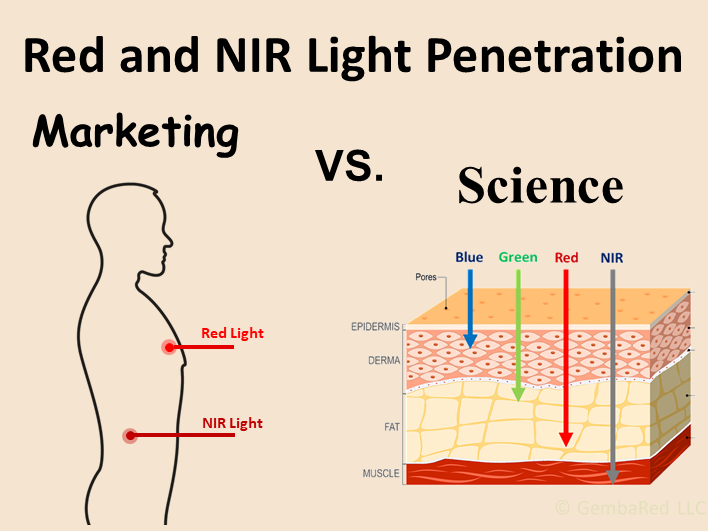 How Deep Does Red and Near-Infrared Light Penetrate into the Body? Marketing vs. Science